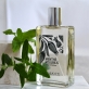 MENTHE VOLUBILIS | AMARANTE PARFUMS